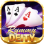 playing cards rummy