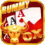 rummy perfect vip